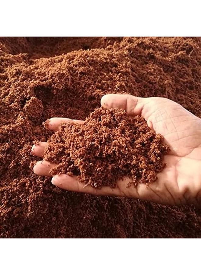 ماركة غير محددة تربة بيتموس ، لانبات كل البذور، 1 كجم 