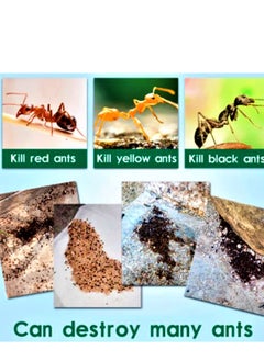 Green Leaf Ant Killing Bait Powder Insecticide Repellent Trap Pest Control  - Image 1