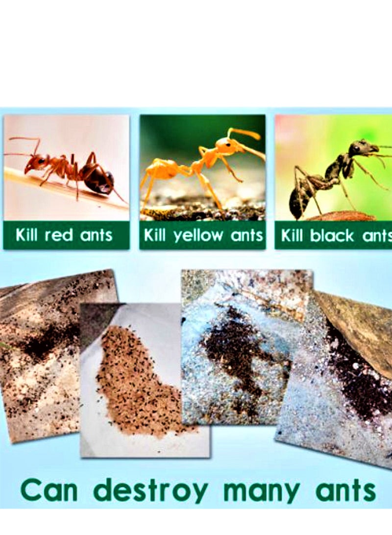 Green Leaf Ant Killing Bait Powder Insecticide Repellent Trap Pest Control - Image 1