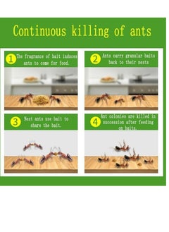 Green Leaf Ant Killing Bait Powder Insecticide Repellent Trap Pest Control  - Image 3