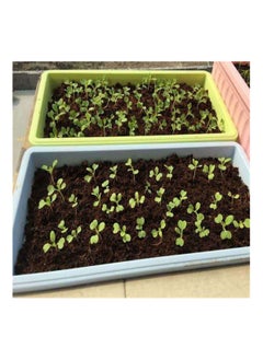 Generic Planting compressed cocopeat  block 20x10x5cm  - Image 5
