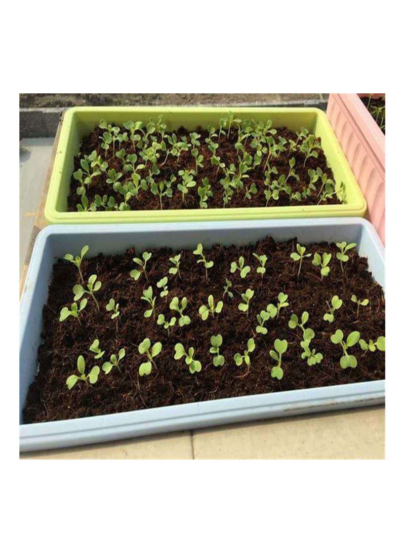 Generic Planting compressed cocopeat  block 20x10x5cm  - Image 5