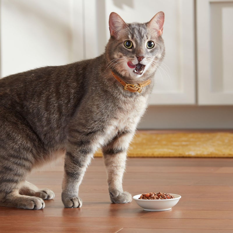 Meow Mix Tenders in Sauce Wet Cat Food, Tuna & Shrimp, 2.75 Ounce Cup (Pack of 12) - Image 4