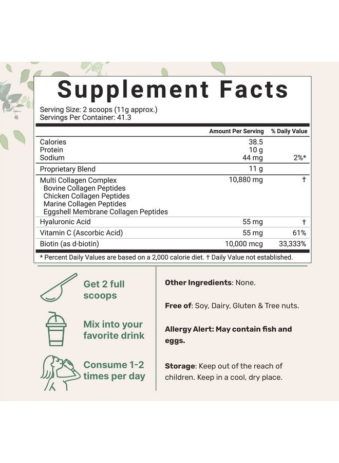 Micro Ingredients Multi Collagen Peptides Powder 1 Pound (16 Ounce) Type Iiiiiivx With Biotin 10000Mcg Hyaluronic Acid Vitamin C Unflavored Keto & Paleo Friendly Easy Dissolve Nongmo Gluten Free  - Image 3