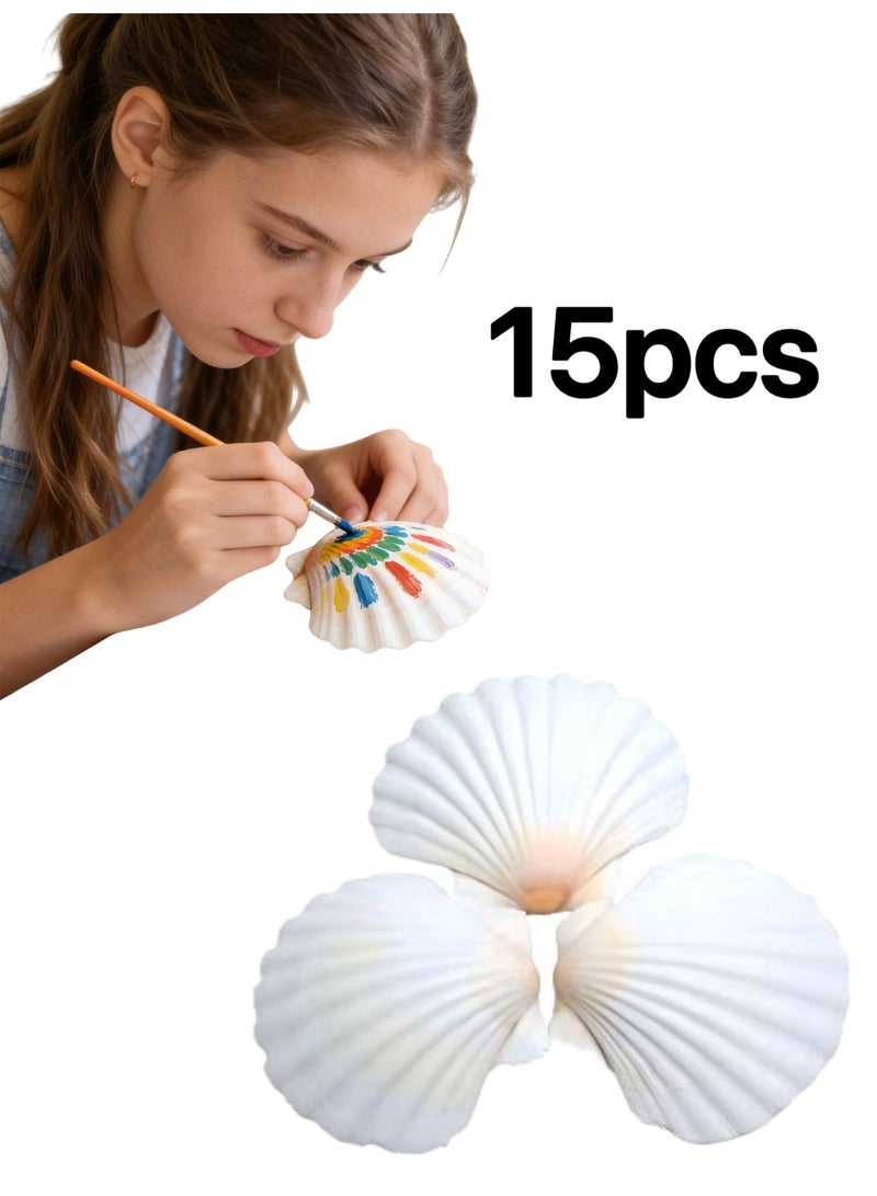 15 قطعة من أصداف البحر الطبيعية البيضاء مقاس 2-3 بوصات من Sea Beach للاستخدام المنزلي الحرفي - Image 1