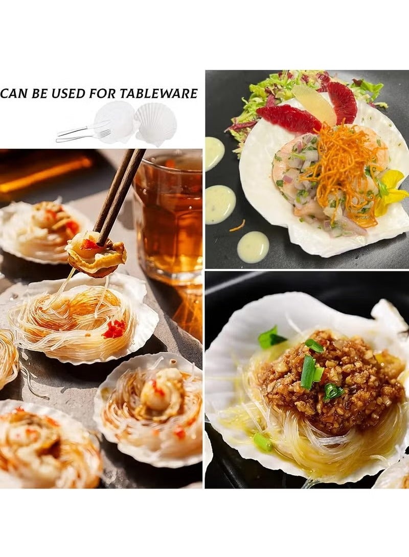 15 قطعة من أصداف البحر الطبيعية البيضاء مقاس 2-3 بوصات من Sea Beach للاستخدام المنزلي الحرفي - Image 5