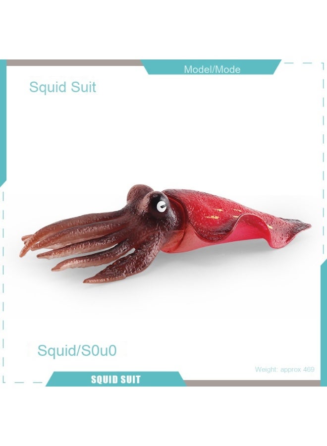 NIBEMINENT Mini Ocean Animal Model Set - Octopus, Squid, and Bobtail Squid