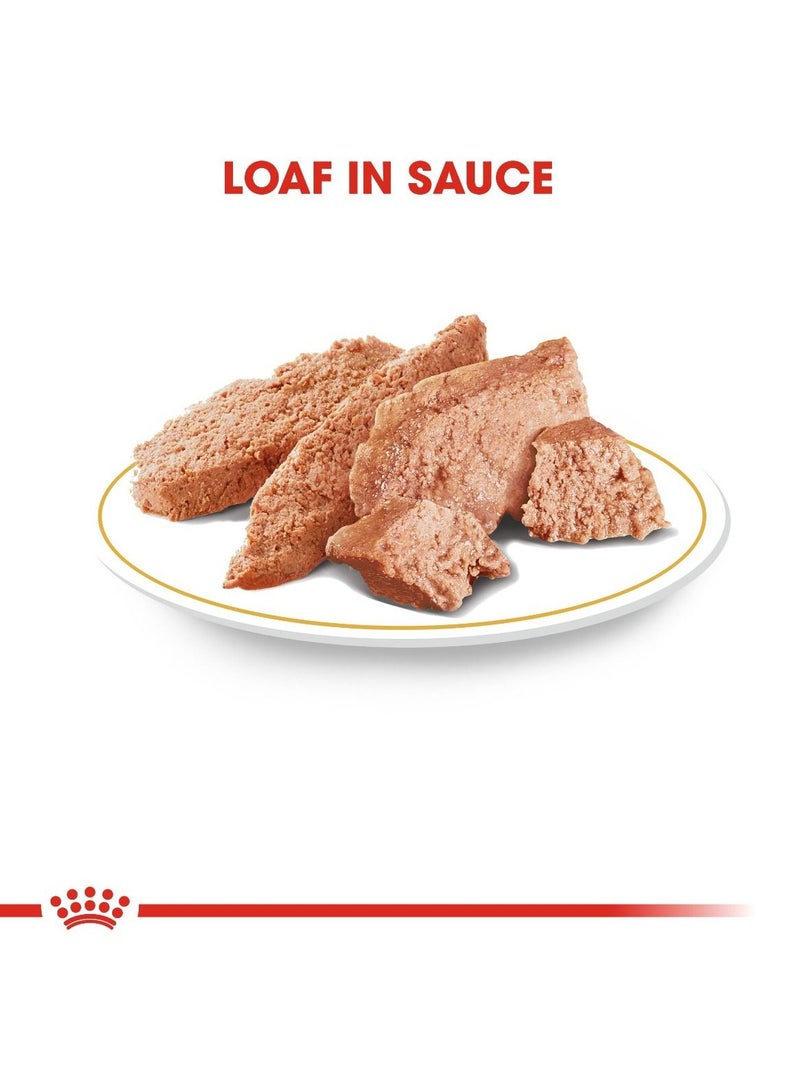 رويال كانين - طعام صحي للكلاب البالغة من سلالة بودل (طعام رطب - أكياس) 12 × 85 جرام - Image 3