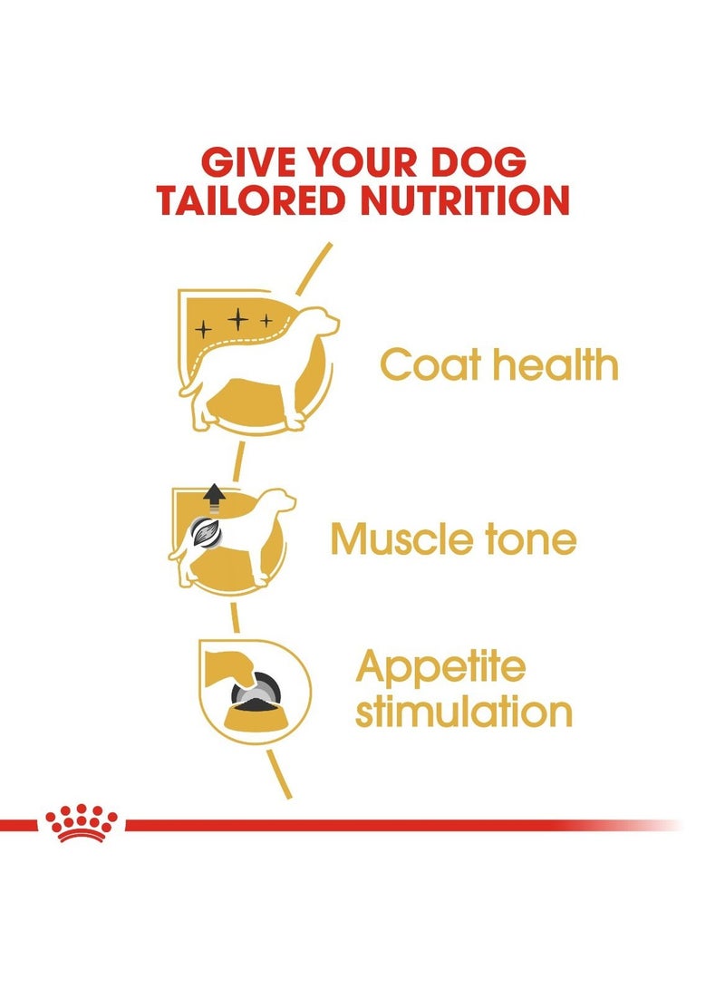 رويال كانين - طعام صحي للكلاب البالغة من سلالة بودل (طعام رطب - أكياس) 12 × 85 جرام - Image 5