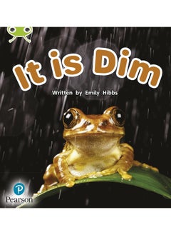 Bug Club Phonics Non-Fiction Early Years and Reception Phase 2 Unit 2 It is Dim 