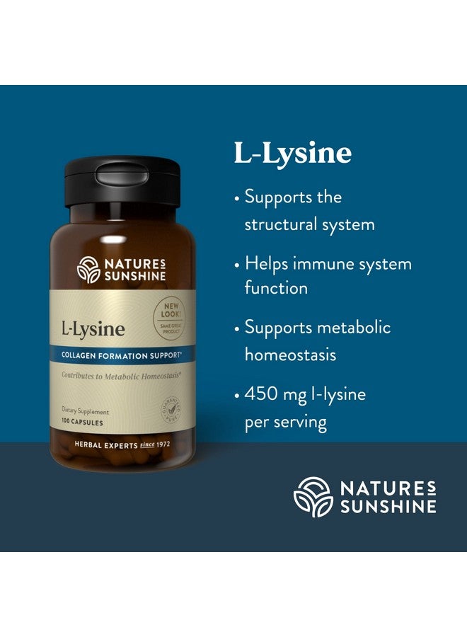 ناتشرز صن شاين Nature's Sunshine L-Lysine، 100 كبسولة | كبسولات الأحماض الأمينية الأساسية مع 474 مجم من هيدروكلوريد L-Lysine لمساعدة جسمك على التحكم في التوازن الحمضي والقلوي - Image 4