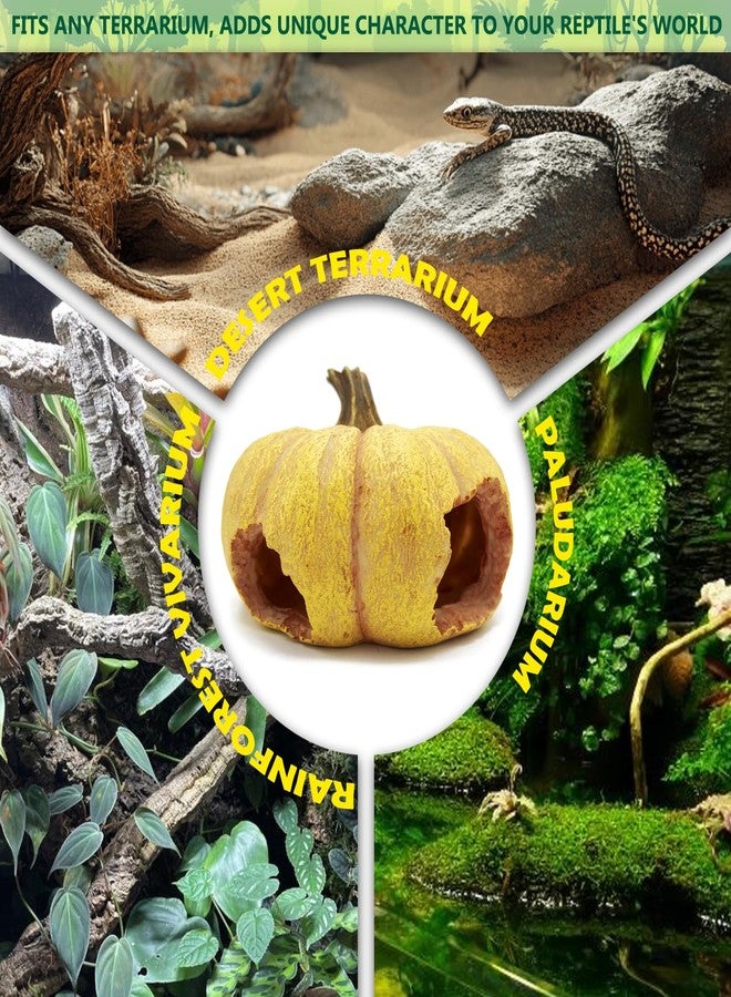 Kocris Casa Pumpkin Leopard Gecko Hide Reptile Bearded Dragon Tank Hideout Caves Accessories Halloween Turtle Lizard Snake Décor Amphibian Habitat Tortoise Terrarium Decoration - Image 5