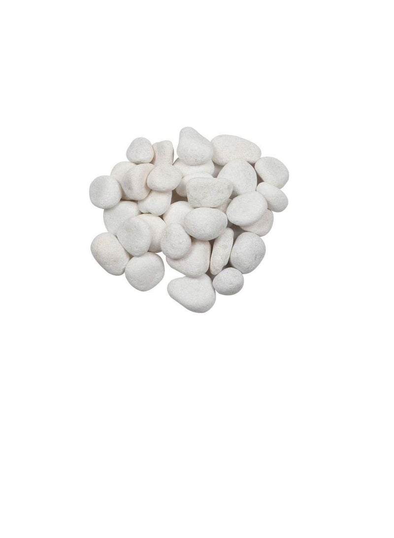 Pebble Stones- Medium, 1kg (White)  - Image 3