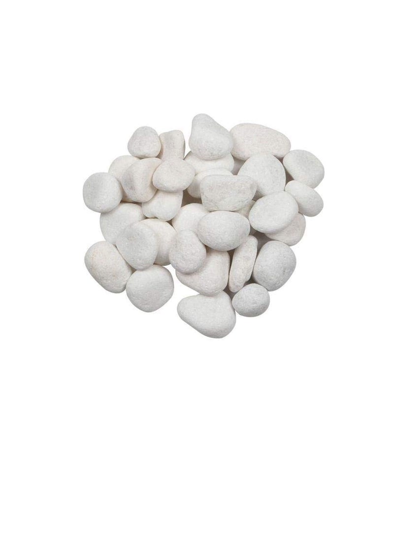 Pebble Stones- Medium, 1kg (White)  - Image 2