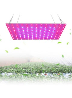 Thoraya LED Plant Grow Lights for Indoor Plants Full Spectrum 12W Panel Plant Growing Lamp  - Image 2