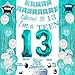 Funmemoir 13th Birthday Party Decorations for Girls Teal  Happy 13th Birthday Decorations Include Banner Garland Cake Cupcake Topper Turquoise Fringe Curtain Number 13 Foil Balloon - Image 4