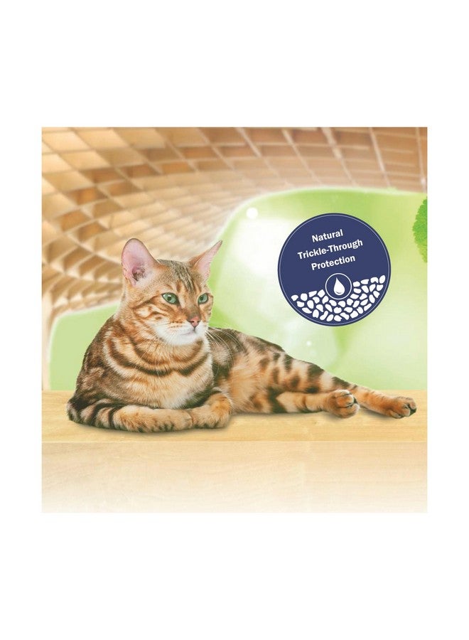 JRS Cats Best Cat Litter 2.1 Kg Pack of 2 - Image 4