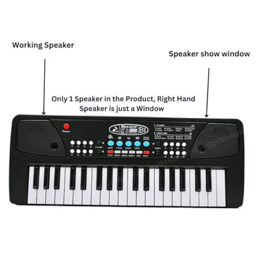 VikriDA 49-Key Digital Piano Keyboard | Portable Electronic Organ with Microphone – Multi-Function Music Keyboard for Beginners & Professionals - Image 2