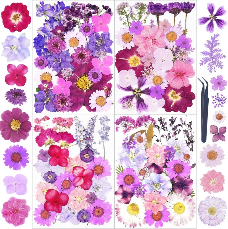 Xinxinran 110Pcs Purple Dried Pressed Flowers for Crafts, Dry Flower Kit for Resin Molds,Epoxy Resin Accessories,Bookmark,Nails, Jewelry Molds,Candle Making Supplies,Soap,Frame - Image 1