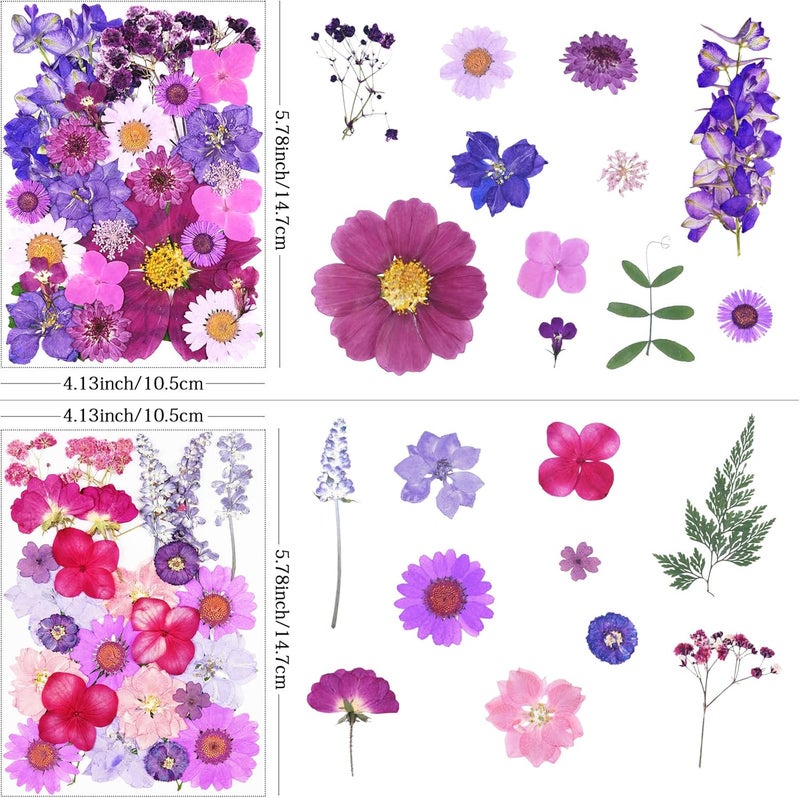 Xinxinran 110Pcs Purple Dried Pressed Flowers for Crafts, Dry Flower Kit for Resin Molds,Epoxy Resin Accessories,Bookmark,Nails, Jewelry Molds,Candle Making Supplies,Soap,Frame - Image 2
