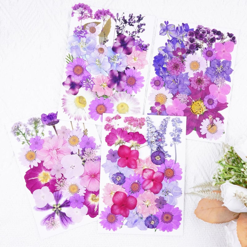 Xinxinran 110Pcs Purple Dried Pressed Flowers for Crafts, Dry Flower Kit for Resin Molds,Epoxy Resin Accessories,Bookmark,Nails, Jewelry Molds,Candle Making Supplies,Soap,Frame - Image 4