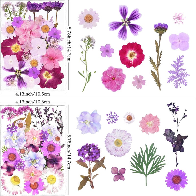 Xinxinran 110Pcs Purple Dried Pressed Flowers for Crafts, Dry Flower Kit for Resin Molds,Epoxy Resin Accessories,Bookmark,Nails, Jewelry Molds,Candle Making Supplies,Soap,Frame - Image 3