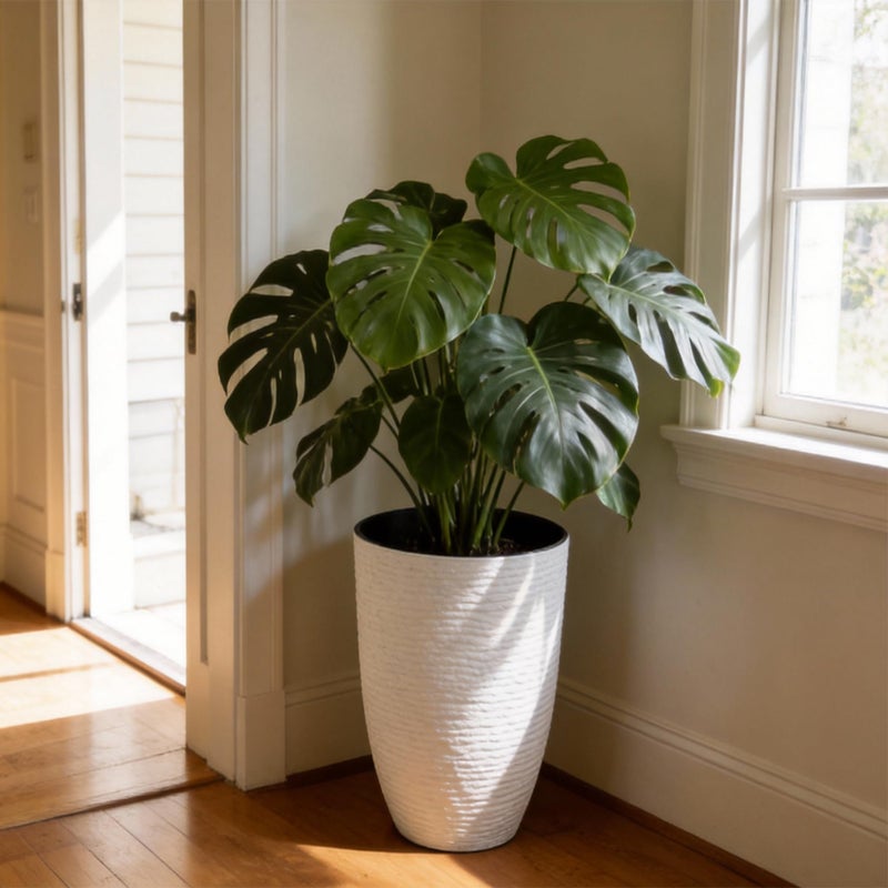 Worth Garden 2-Pack 21" H. White Tall Planters - 14'' Dia Resin Large Round Flower Pots for Outdoor Plants Trees - Imitation Stone Finish Plastic Indoor Front Porch 9 Gallon Decorative Container Patio - Image 4