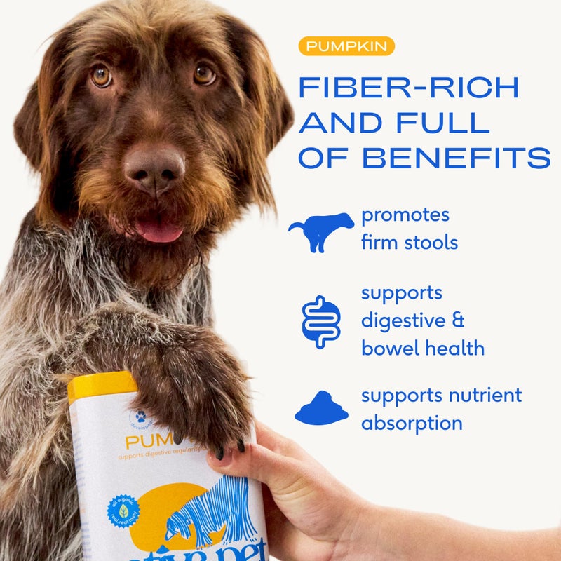 Native Pet Pumpkin for Dogs - Organic Powder Pumpkin Puree Dog Food Toppers -Rich in Fiber Supplement Powder Helps with Digestion, Nutrient Absorption, Diarrhea, Constipation & Upset Stomach-30 Scoops - Image 2