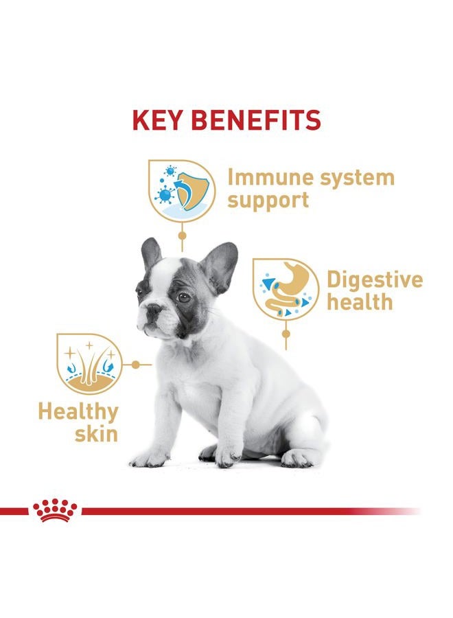 ROYAL CANIN طعام جاف لجرو بولدوغ فرنسي، 3 رطل - Image 3