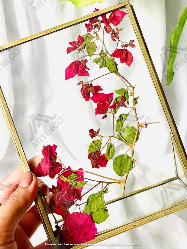 ARTINCO Art India Collections Decorative Vintage Table Photo Frame 5x7", Gifting Photo Frame, Brass and Glass Standing Frame 5x7" - Image 3