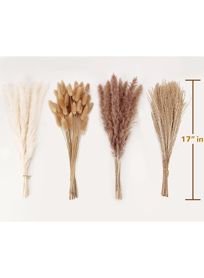 erorex Dried Pampas Grass Decor 100 Pcs Pampas Grass Contains Bunny Tails Dried Flowers Reed Grass Bouquet For Wedding Flowers Home Table Decor Rustic Farmhouse Party White And Brown  - Image 2