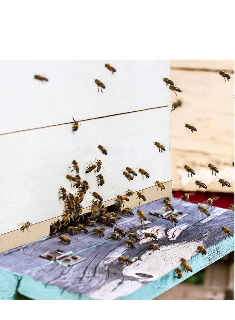 Barakah 5 Pack Beehive Entrance Reducer 10 Frame Wood Bee Hive for Beekeeping 2 Size Openings Control Ventilation and Keep Out Honey Robbers Supplies and Separating Guard Tool - Image 4