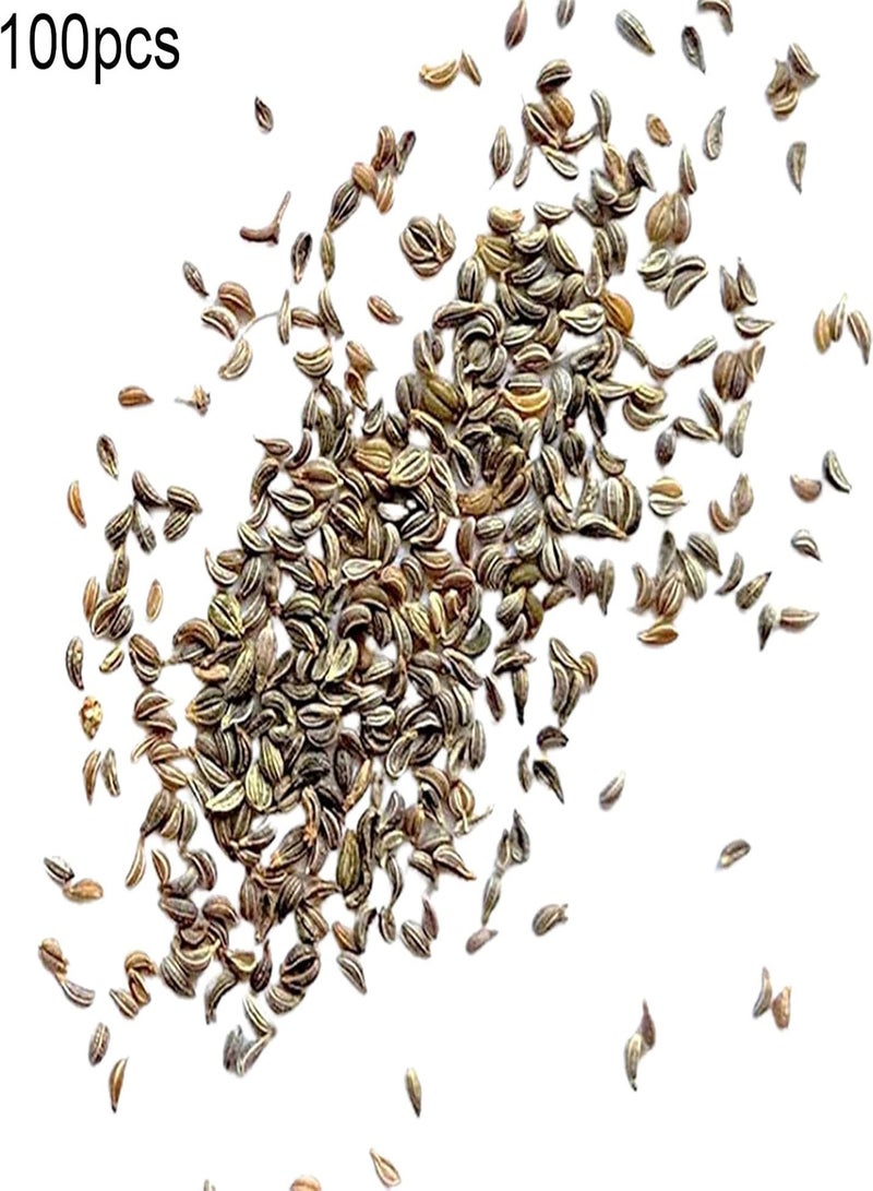 جي جوت 100 قطعة/كيس من بذور البقدونس غنية بالفيتامينات وسهلة العناية، بذور البقدونس العطرية ذات الأوراق المسطحة ذات اللون الأخضر الداكن، مناسبة لحديقة المنزل والنباتات، بذور البقدونس - Image 4