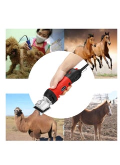 GearZone GearZone Horse Clipper Electric Animal Grooming Kit for Horse Equine Goat Pony Cattle,1000W  6 Speeds Professional Horse Shears, with Accessories and Tool Box  - Image 5