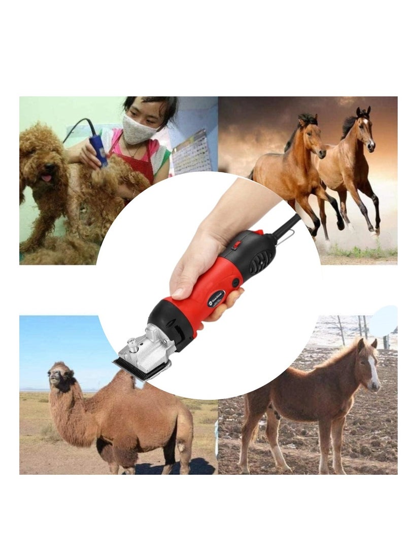 جيرزون مجموعة قص شعر الخيل الكهربائية من GearZone للخيول والماعز والمهر والماشية، 1000 وات، 6 سرعات، مقصات احترافية للخيول، مع ملحقات وصندوق أدوات  - Image 5