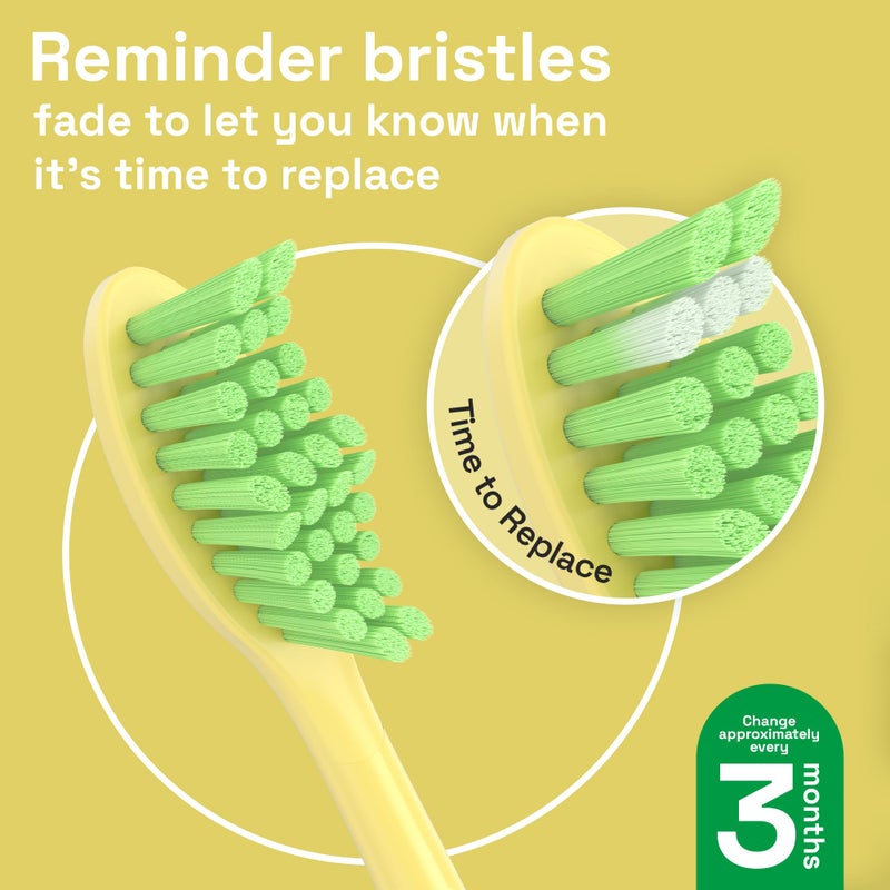 Brushmo Replacement Toothbrush Heads, Compatible with Philips One for Sonicare Electric Toothbrush Handles HY1022, 4 Standard Heads with Tongue Cleaner, Soft Dupont Bristles, BM124m, Mango - Image 4