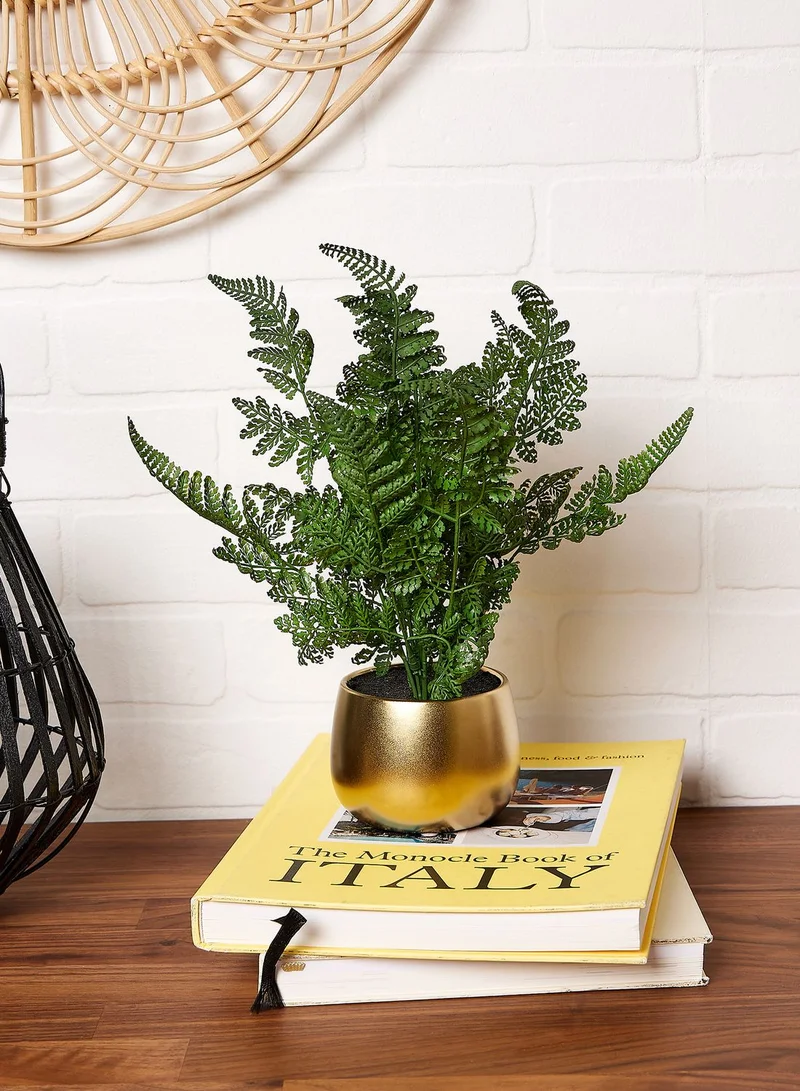 Noire Edit Fern In Metal Look Pot (Mo)