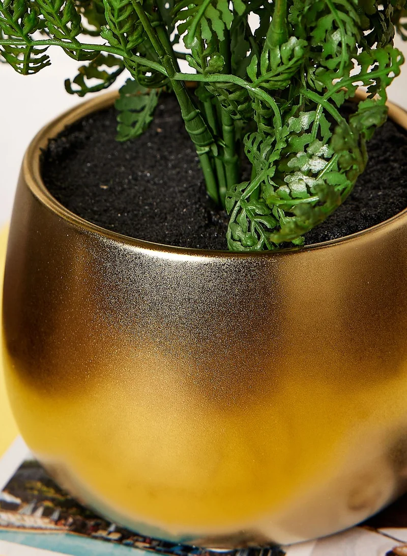 Noire Edit Fern In Metal Look Pot (Mo)