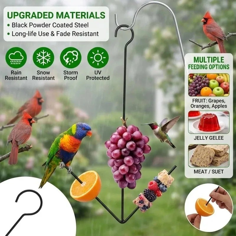 3/1PCS Hanging Fruit Feeders for Outdoor Gardens Yards Black Iron Double Fork Bird Feeder Oriole Hummingbird Bird Food Holder - Image 5