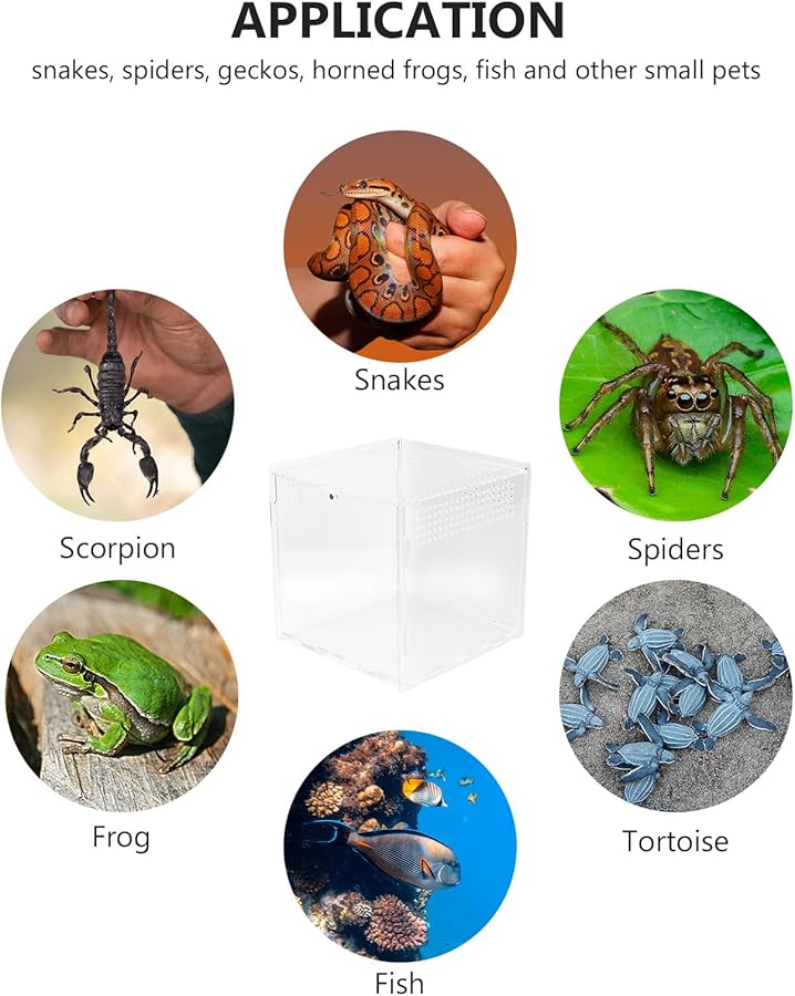حوض زواحف أكريليك كبير شفاف لتربية الثعابين والعناكب والوزغ في موطنها - Image 4