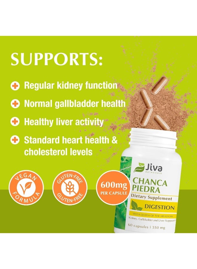 Jiva BOTANICALS - Chanca Piedra Stone Breaker - Formulated From Chanca Piedra Herb - 60 Capsules - Image 2