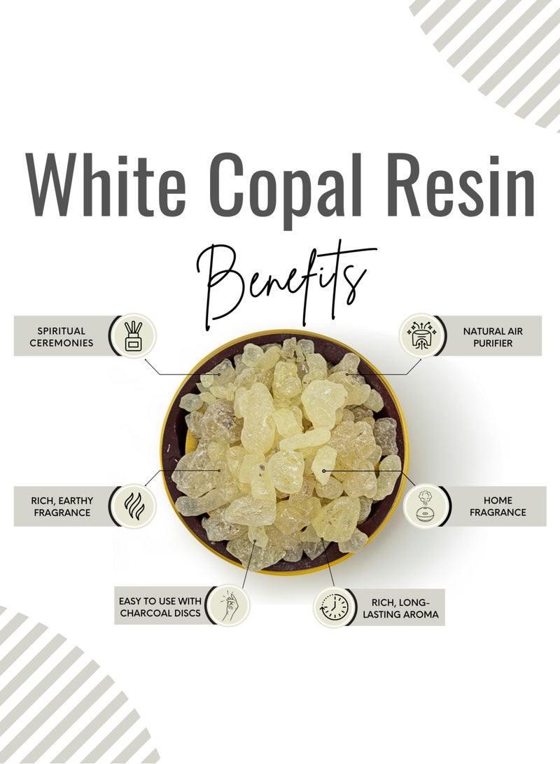 Awafi Mill White Copal Premium Incense Resin | Fresh Citrus, Mint and Forest Aroma with Charcoal Tablet  - Image 3