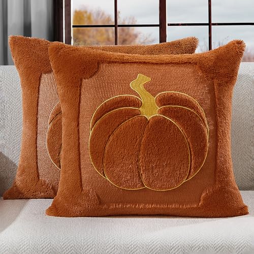 Allorry Fall Pillow Covers 18x18 Set of 2 Fall Rust Pumpkin Embroidery Throw Pillow Covers Soft Plush Faux Fur Cushion Covers for Sofa Bedroom Living Room Autumn Thanksgiving Home Decor PT010C18 - Image 1