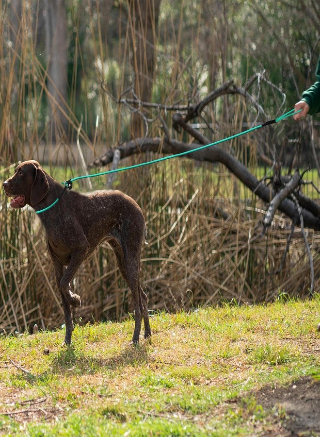 DISCPETSEC Slip Lead Dog Slip Leash -5FT Green Waterproof PVC Pet Leashes Dogs Training Leashes Training Leads Long-Lasting Slip Collar Slip Lead for Small Large, Medium Pets - Image 5