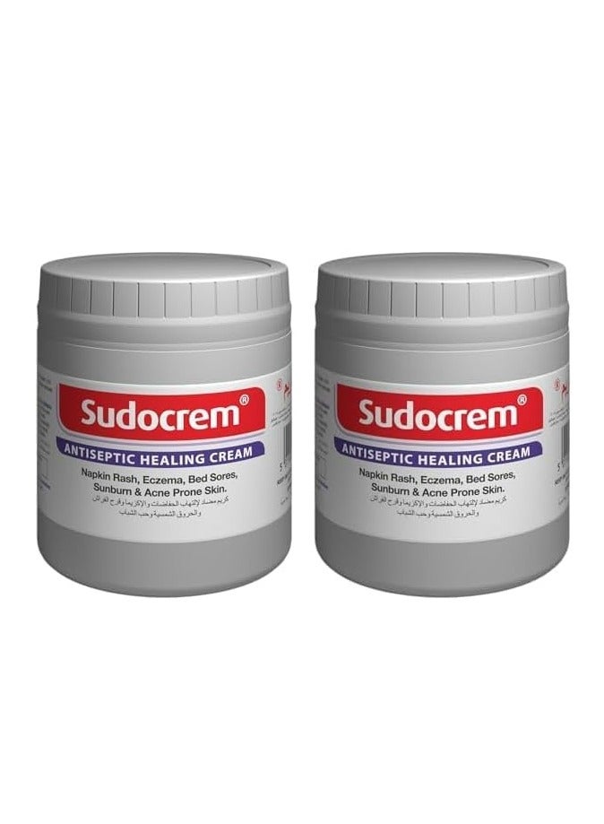 Sudocrem Antiseptic Healing Cream 250 Gm (Pack of 2)  - Image 1