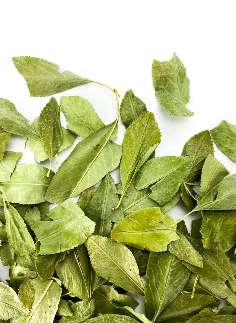 Tealand Herbal Tea Wild Cherry Leaves Antioxidant Rich Natural & Pure Taste Caffeine-Free Stress Relieving Immune Support 25g  - Image 2