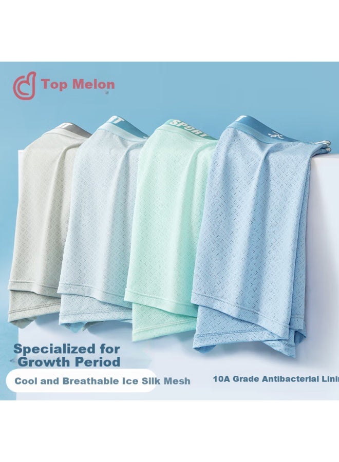 Top melon Watermelon Boys' Underwear Teenage Boys Summer Thin Ice Silk High School Students Junior High School Students Developmental Period Four-corner Shorts - Image 1