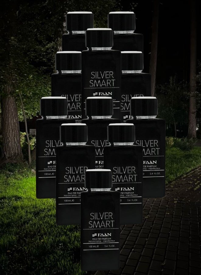 Faan 11 Pieces Silver Smart Perfume 100ML - Image 1