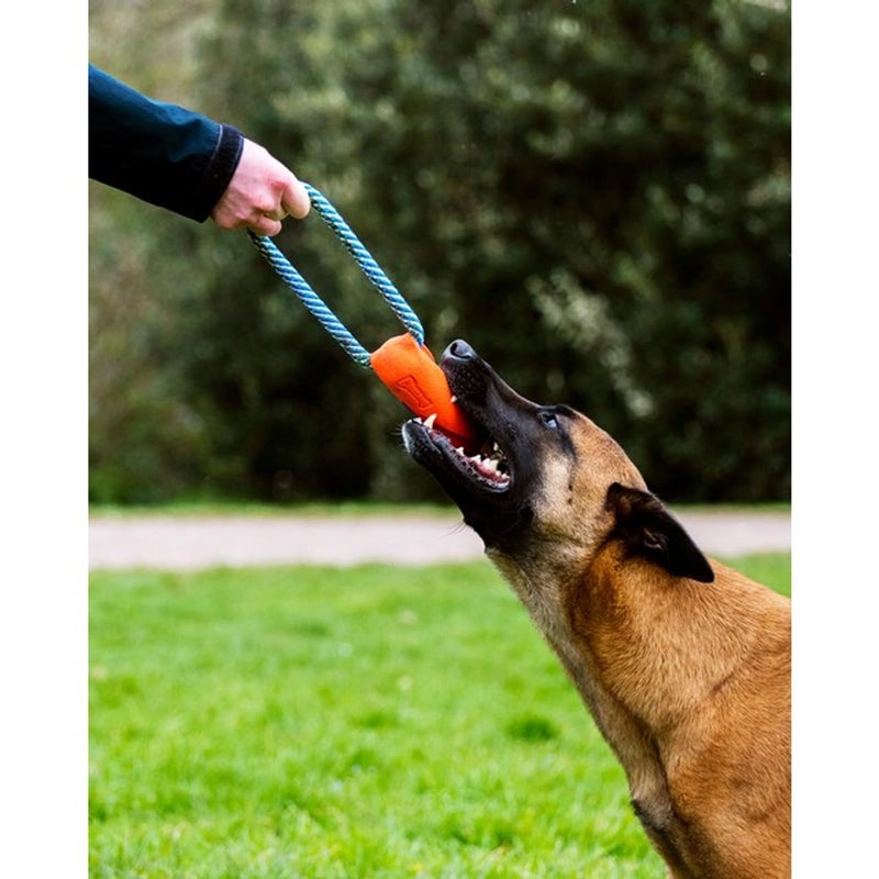 Chuckit! Ultra Bumper Tug Dog Toy,Orange,Medium - Image 4