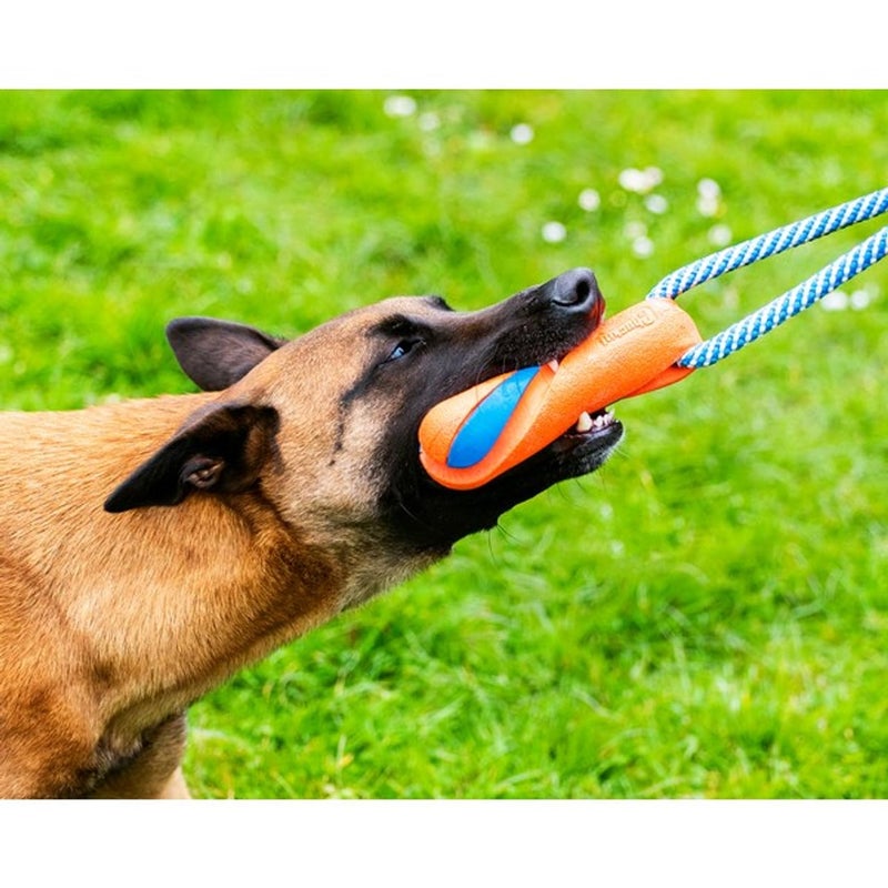 Chuckit! Ultra Bumper Tug Dog Toy,Orange,Medium - Image 5